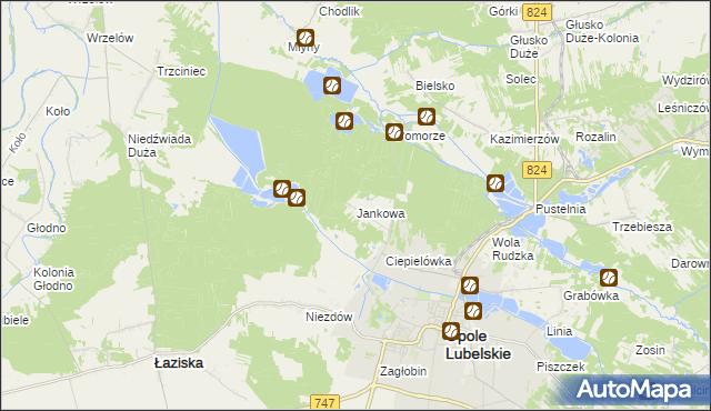 mapa Jankowa gmina Opole Lubelskie, Jankowa gmina Opole Lubelskie na mapie Targeo