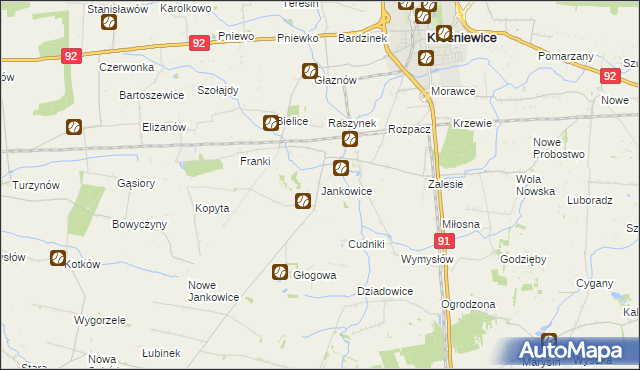 mapa Jankowice gmina Krośniewice, Jankowice gmina Krośniewice na mapie Targeo