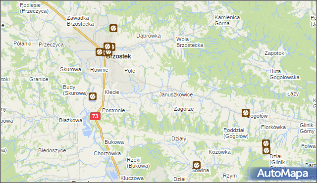 mapa Januszkowice gmina Brzostek, Januszkowice gmina Brzostek na mapie Targeo