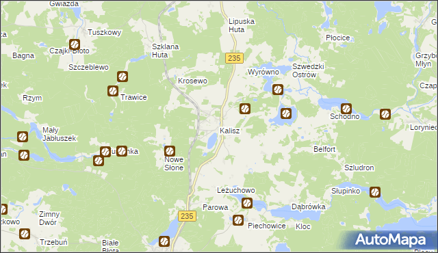 mapa Kalisz gmina Dziemiany, Kalisz gmina Dziemiany na mapie Targeo