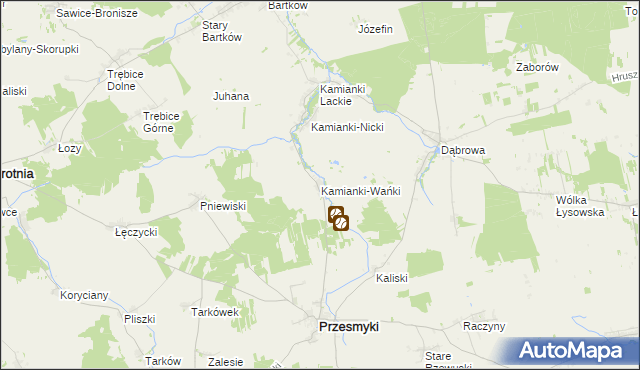 mapa Kamianki-Wańki, Kamianki-Wańki na mapie Targeo