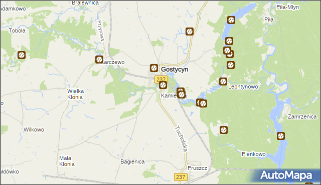 mapa Kamienica gmina Gostycyn, Kamienica gmina Gostycyn na mapie Targeo