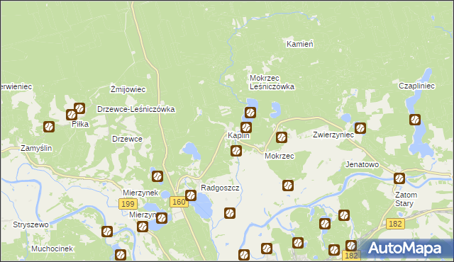 mapa Kaplin gmina Międzychód, Kaplin gmina Międzychód na mapie Targeo