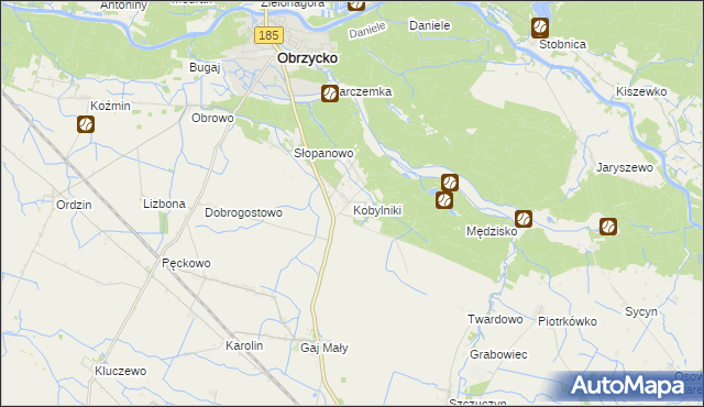 mapa Kobylniki gmina Obrzycko, Kobylniki gmina Obrzycko na mapie Targeo