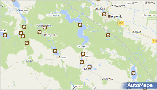 mapa Kołecko, Kołecko na mapie Targeo