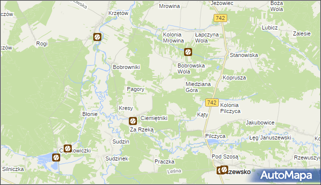 mapa Kolonia Bobrowska Wola, Kolonia Bobrowska Wola na mapie Targeo