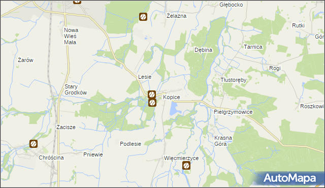 mapa Kopice gmina Grodków, Kopice gmina Grodków na mapie Targeo