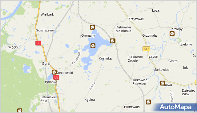 mapa Koślinka gmina Sztum, Koślinka gmina Sztum na mapie Targeo