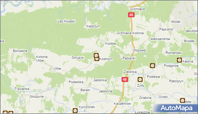 mapa Kostrzyn gmina Wyśmierzyce, Kostrzyn gmina Wyśmierzyce na mapie Targeo