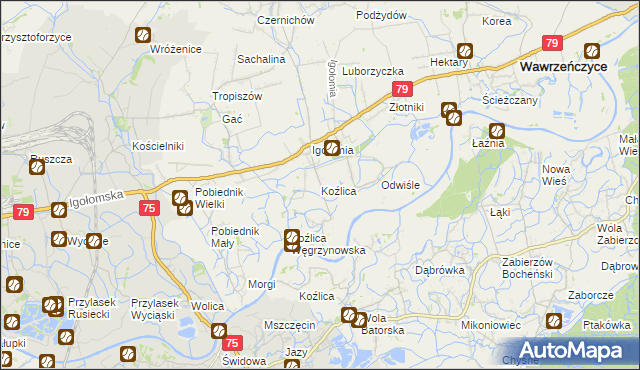 mapa Koźlica, Koźlica na mapie Targeo