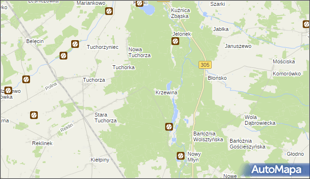 mapa Krzewina gmina Rakoniewice, Krzewina gmina Rakoniewice na mapie Targeo