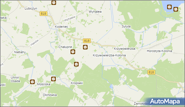 mapa Krzywowierzba-Kolonia, Krzywowierzba-Kolonia na mapie Targeo