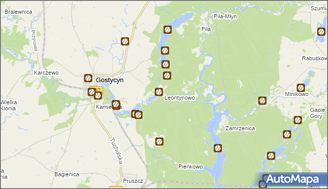 mapa Leontynowo, Leontynowo na mapie Targeo