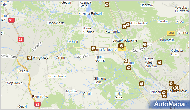 mapa Lgota Górna, Lgota Górna na mapie Targeo