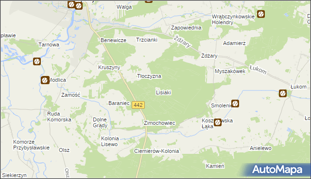 mapa Lisiaki gmina Pyzdry, Lisiaki gmina Pyzdry na mapie Targeo