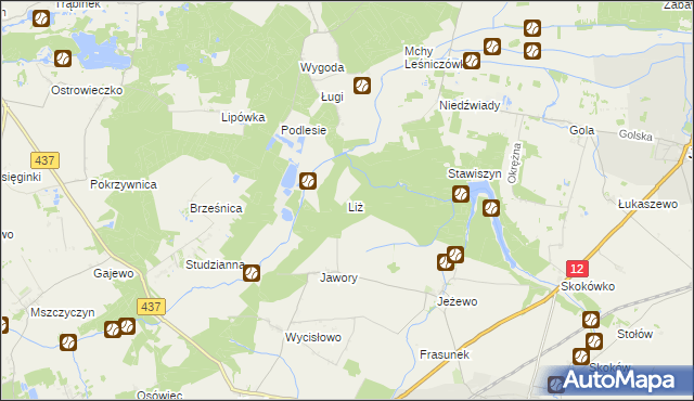 mapa Liż, Liż na mapie Targeo