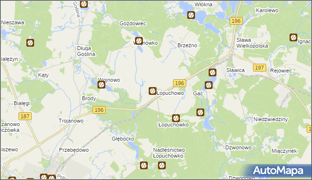 mapa Łopuchowo gmina Murowana Goślina, Łopuchowo gmina Murowana Goślina na mapie Targeo