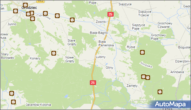 mapa Lubiny gmina Rychwał, Lubiny gmina Rychwał na mapie Targeo