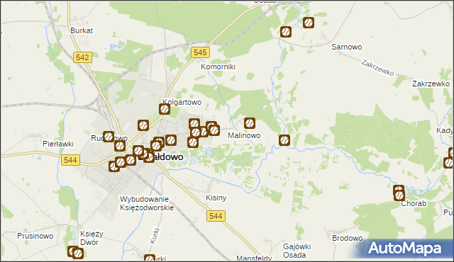 mapa Malinowo gmina Działdowo, Malinowo gmina Działdowo na mapie Targeo