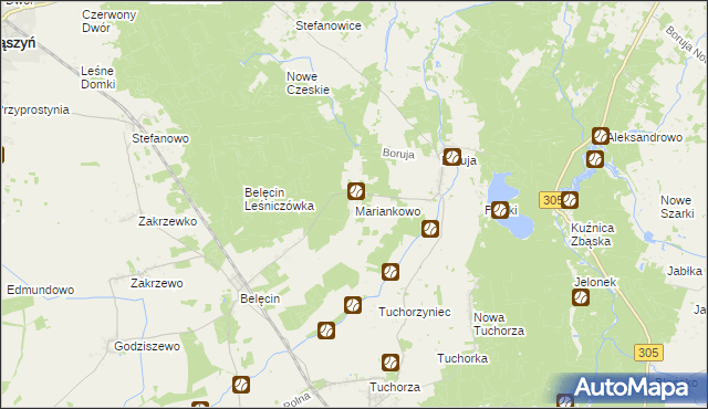 mapa Mariankowo gmina Siedlec, Mariankowo gmina Siedlec na mapie Targeo