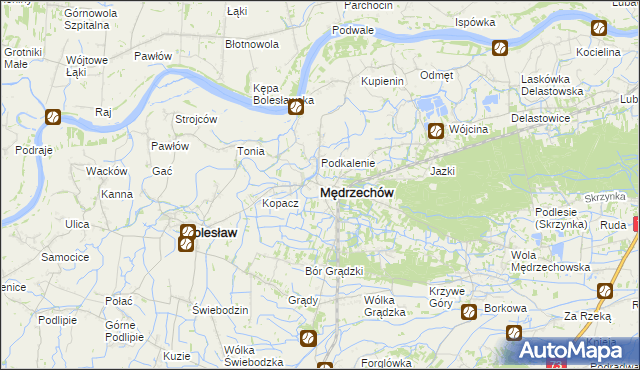 mapa Mędrzechów, Mędrzechów na mapie Targeo