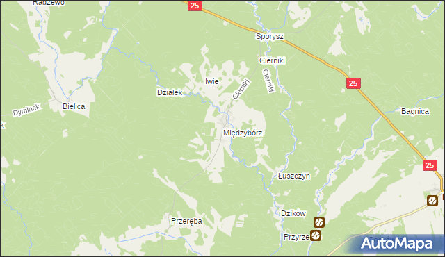 mapa Międzybórz gmina Rzeczenica, Międzybórz gmina Rzeczenica na mapie Targeo