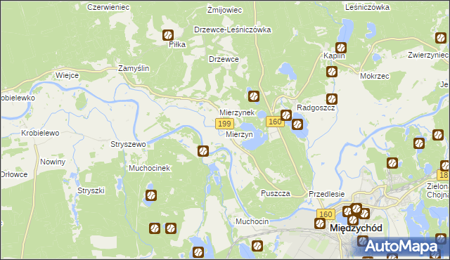 mapa Mierzyn gmina Międzychód, Mierzyn gmina Międzychód na mapie Targeo