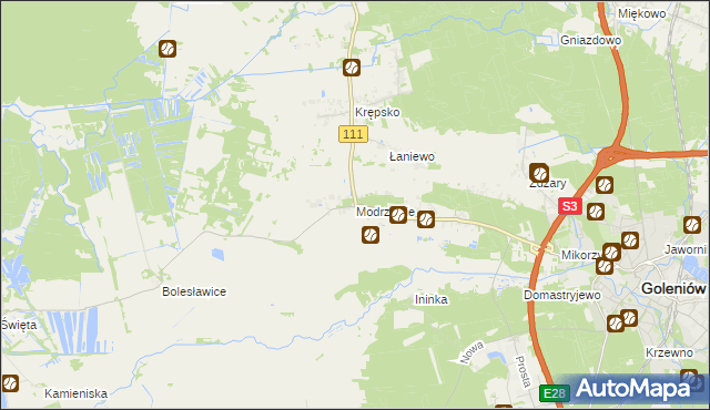 mapa Modrzewie gmina Goleniów, Modrzewie gmina Goleniów na mapie Targeo