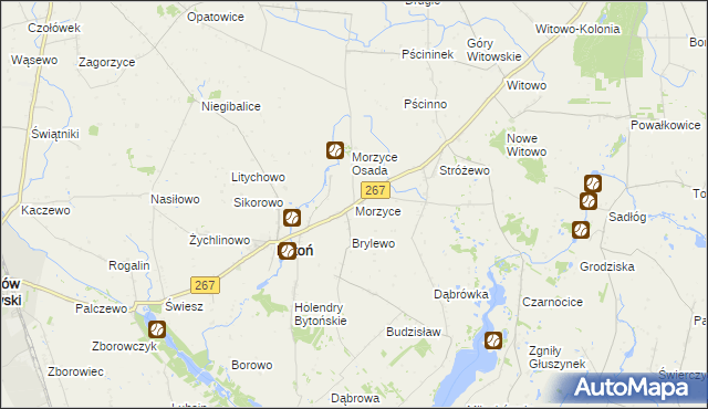 mapa Morzyce gmina Bytoń, Morzyce gmina Bytoń na mapie Targeo