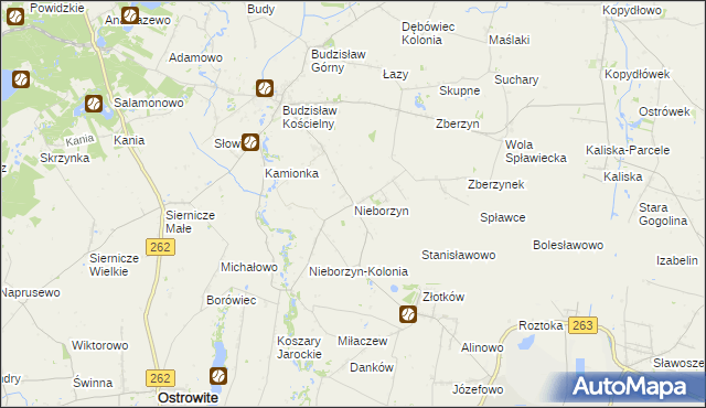 mapa Nieborzyn gmina Kleczew, Nieborzyn gmina Kleczew na mapie Targeo