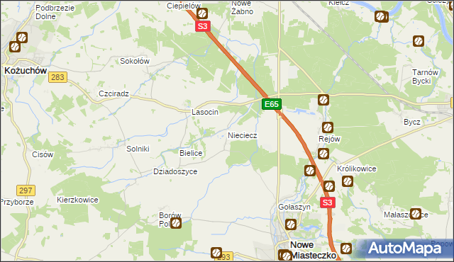 mapa Nieciecz gmina Nowe Miasteczko, Nieciecz gmina Nowe Miasteczko na mapie Targeo