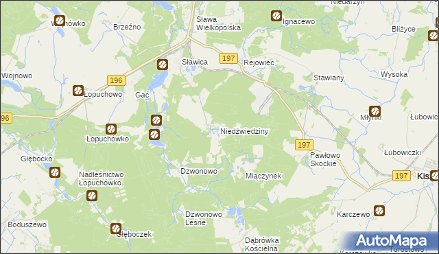 mapa Niedźwiedziny, Niedźwiedziny na mapie Targeo