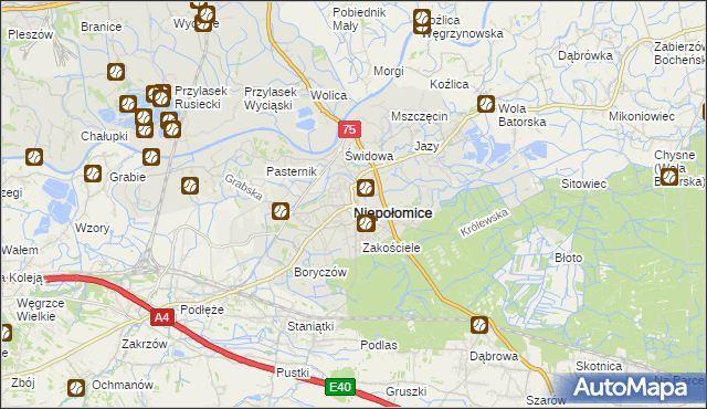 mapa Niepołomice, Niepołomice na mapie Targeo