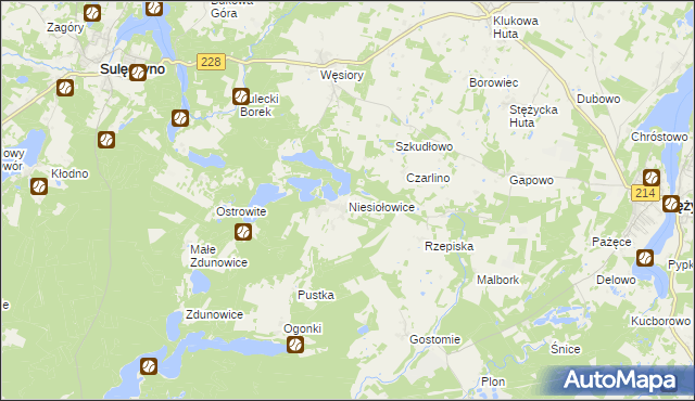 mapa Niesiołowice gmina Stężyca, Niesiołowice gmina Stężyca na mapie Targeo