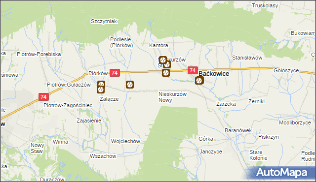 mapa Nieskurzów Nowy, Nieskurzów Nowy na mapie Targeo