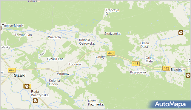 mapa Obory gmina Gizałki, Obory gmina Gizałki na mapie Targeo