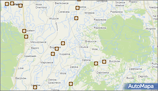 mapa Okulice gmina Rzezawa, Okulice gmina Rzezawa na mapie Targeo