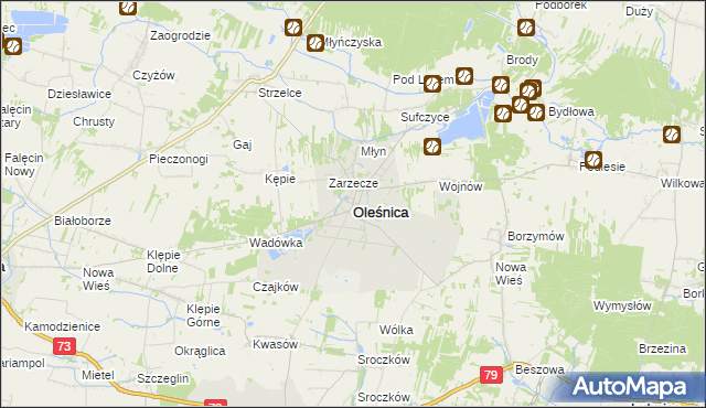 mapa Oleśnica powiat staszowski, Oleśnica powiat staszowski na mapie Targeo