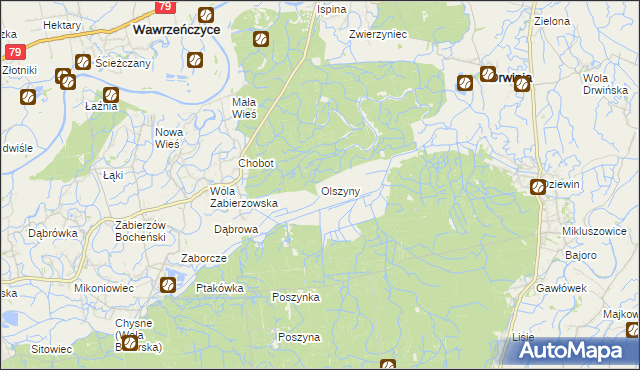 mapa Olszyny gmina Drwinia, Olszyny gmina Drwinia na mapie Targeo