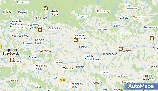 mapa Olszyny gmina Rzepiennik Strzyżewski, Olszyny gmina Rzepiennik Strzyżewski na mapie Targeo