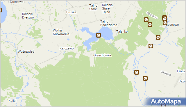 mapa Orzechówka gmina Rajgród, Orzechówka gmina Rajgród na mapie Targeo