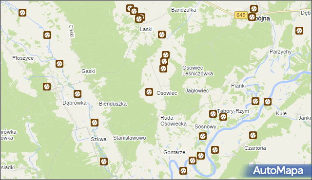 mapa Osowiec gmina Zbójna, Osowiec gmina Zbójna na mapie Targeo