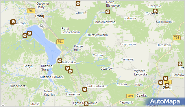 mapa Ostrów gmina Żarki, Ostrów gmina Żarki na mapie Targeo
