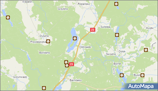 mapa Ostrowiec gmina Dębno, Ostrowiec gmina Dębno na mapie Targeo