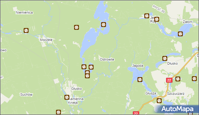 mapa Ostrowite gmina Dobiegniew, Ostrowite gmina Dobiegniew na mapie Targeo