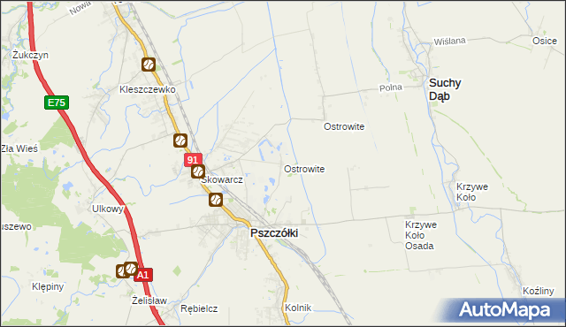 mapa Ostrowite gmina Pszczółki, Ostrowite gmina Pszczółki na mapie Targeo