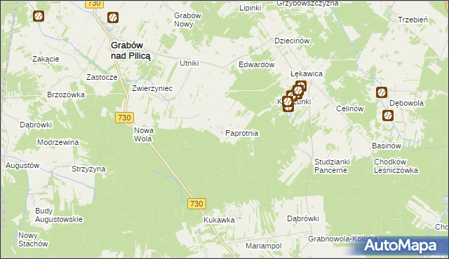 mapa Paprotnia gmina Grabów nad Pilicą, Paprotnia gmina Grabów nad Pilicą na mapie Targeo