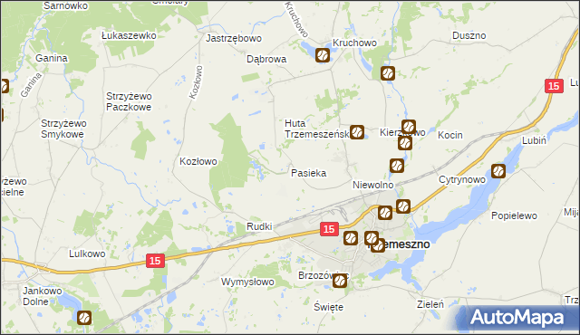 mapa Pasieka gmina Trzemeszno, Pasieka gmina Trzemeszno na mapie Targeo