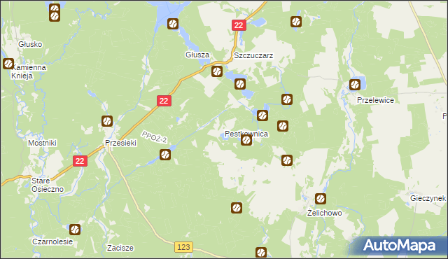 mapa Pestkownica, Pestkownica na mapie Targeo