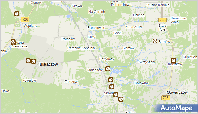 mapa Petrykozy gmina Białaczów, Petrykozy gmina Białaczów na mapie Targeo